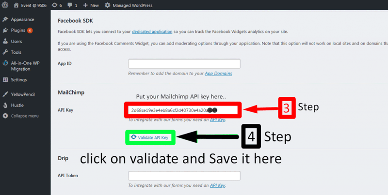 mailchimp api key integration