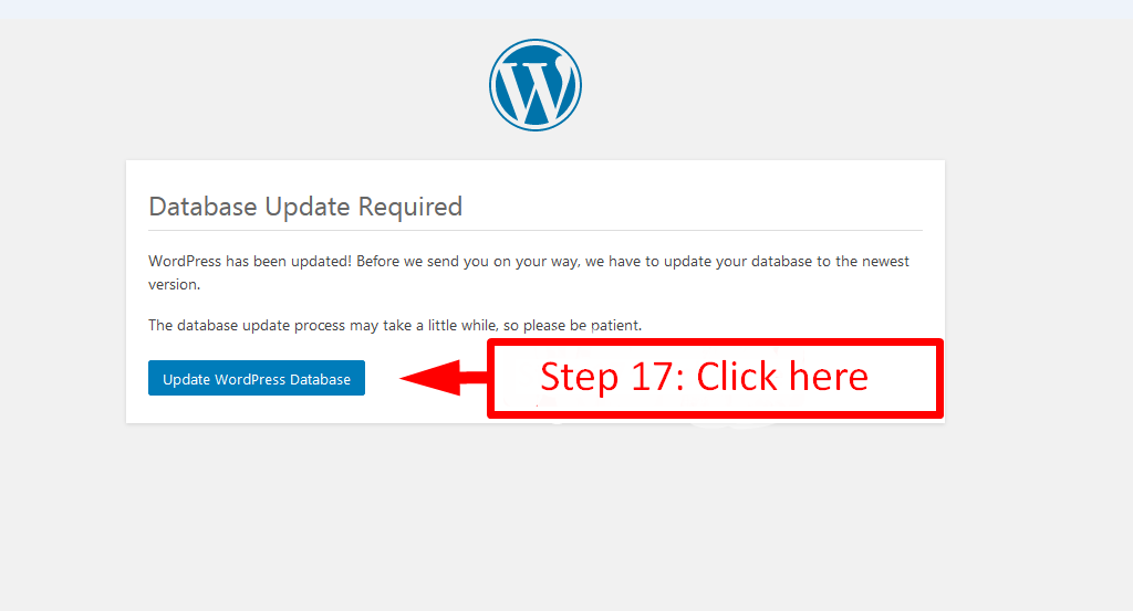 how to update database during WordPress upgrade