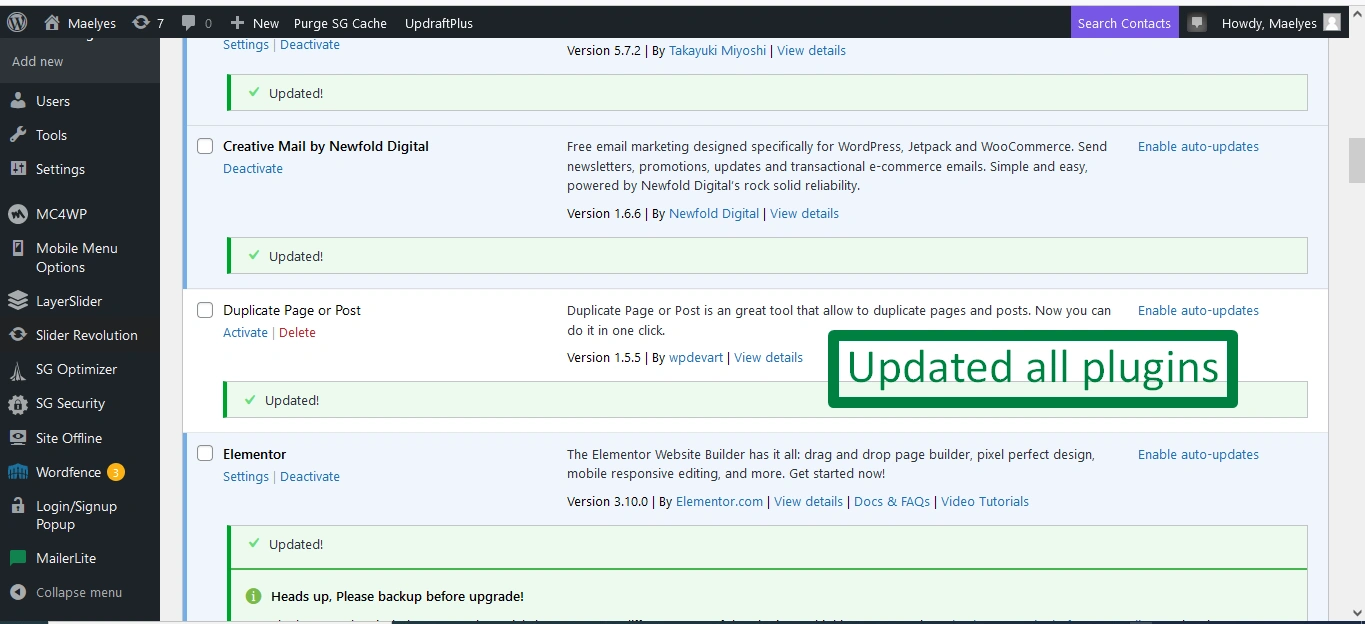 WordPress Plugin Update