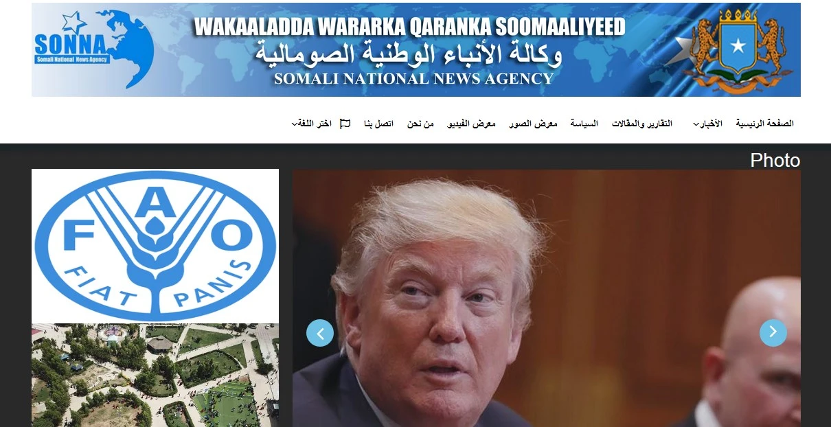 WordPress Error Fixing and Customization