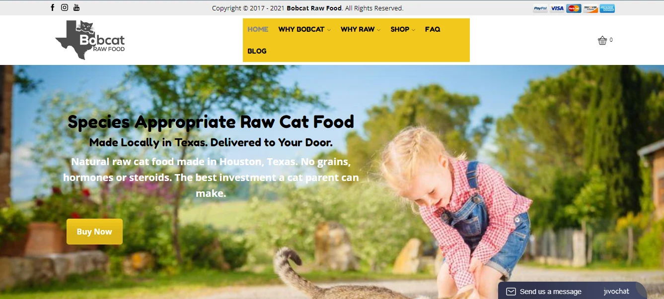 WordPress Website Speed Optimization